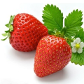 Na jahody a drobné ovocie
