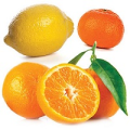Na citrusy