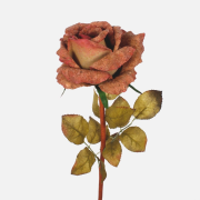 Ruža korková 65 cm, Light pink