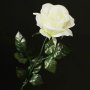 Ruža s listom 80 cm