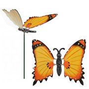 Zapichovačka motýľ