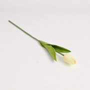 Tulipán 33 cm, krémová