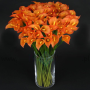 Calla kus 52 cm
