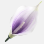 Kala mini penová hlava Lilac/Cream 13 cm 24 ks/bal