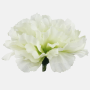 Klinček hlava 8 cm CREAM/GREEN, 24 ks/bal