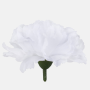 Klinček hlava 8 cm WHITE, 24 ks/bal