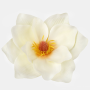 Magnolia hlava 17 cm, Yellow/Orange 12 ks/bal