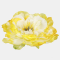 Peonia hlava 14 cm, Yellow/Yellow Center, 12 ks/bal