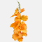 Gladiola kusovka saténová 54 cm Orange, KT10