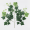 Konár fikus Green w/White Edge 60cm  KT01