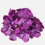 Hortenzia hlava 16 cm Violet 6 ks/bal