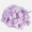 Hortenzia hlava 16 cm Lt.Lilac 6 ks/bal