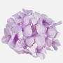 Hortenzia hlava 16 cm Lt.Lilac 6 ks/bal