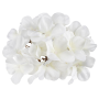 Hortenzia hlava 16 cm Cream 6 ks/bal