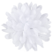 Chryzantéma hlava 10 cm, WHITE , 24 ks/bal