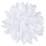 Chryzantéma hlava 10 cm, WHITE , 24 ks/bal