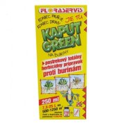 Kaput